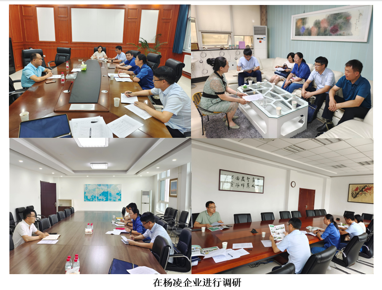 e008e9a18a0646e2ac9541a651b43caf.png QQ图片20220716114307.png