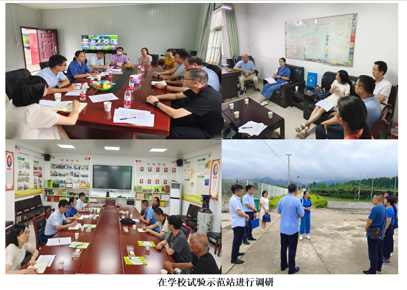 fe56881e0d884f7791c98b7f75a1b08d.png QQ图片20220716114257.png